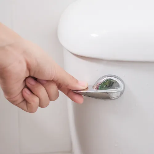 flushing toilet