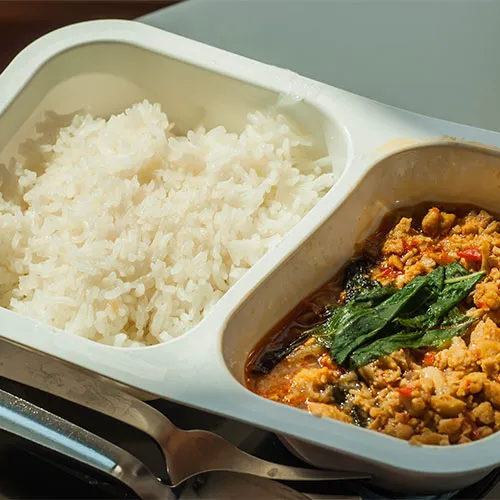 frozen dinner meal