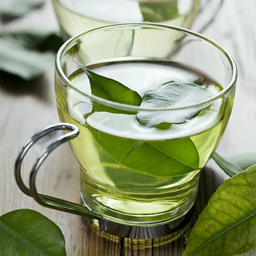 cup of green tea