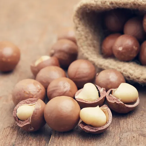 macadamia nuts