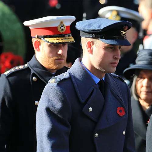 prince harry prince william heartbreaking secret royal family
