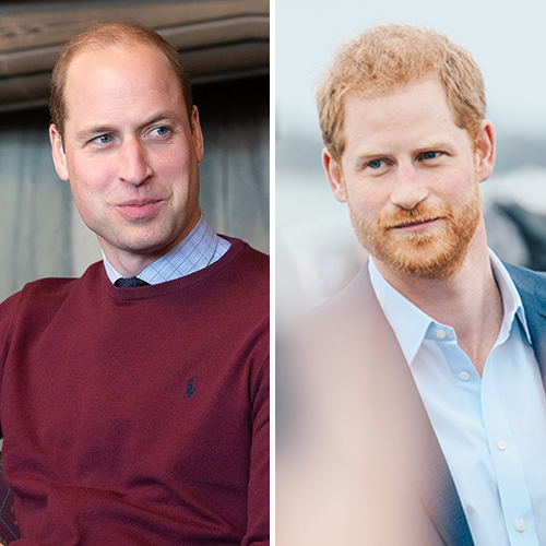 prince harry prince william heartbreaking secret royal family