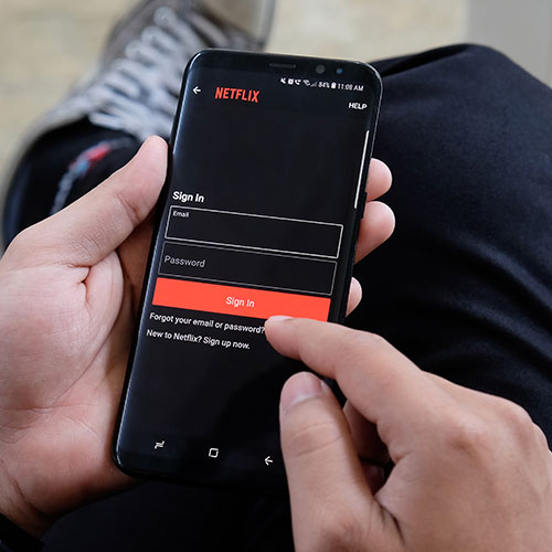 netflix streaming service password save security