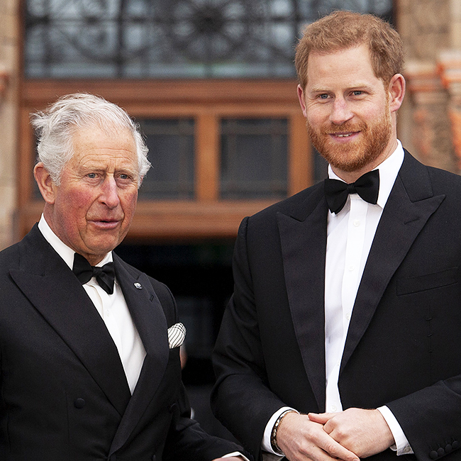 Prince Harry Just Revealed This Heartbreaking Secret About Prince ...