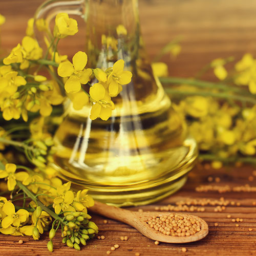 canola oil worst unhealthy cooking oils