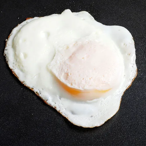 egg