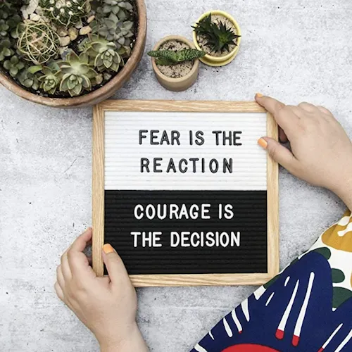 Image from SHEfinds
