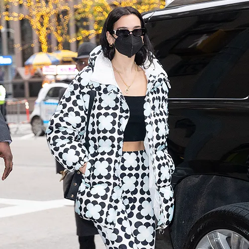 Dua Lipa posing in a fashionable outfit