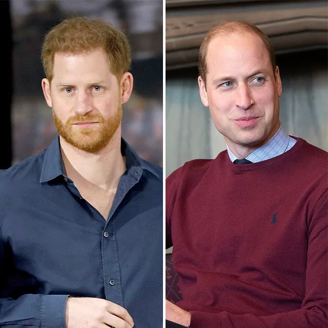 Prince Harry and Prince William together at a public event.