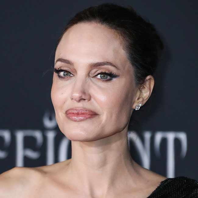 The Angelina Jolie Look Book