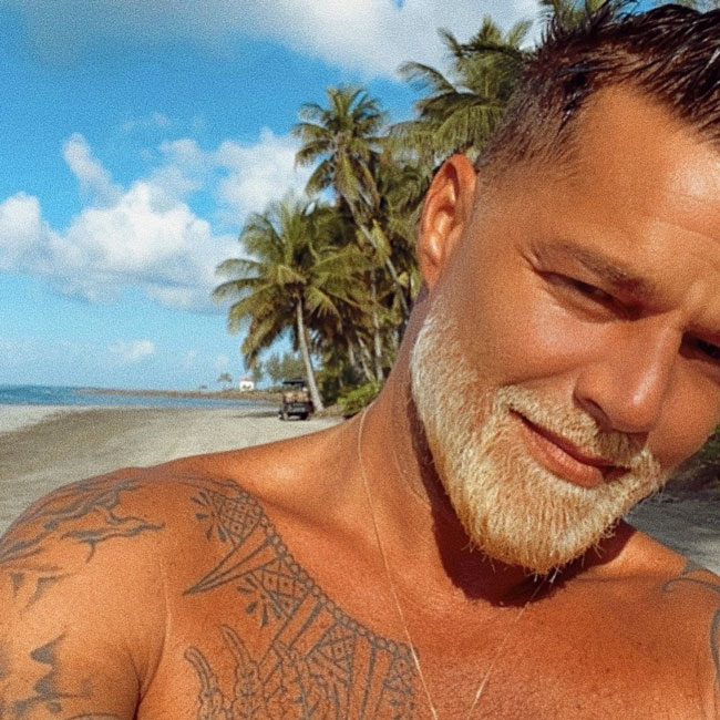 Ricky Martin unrecognizable shaved beard