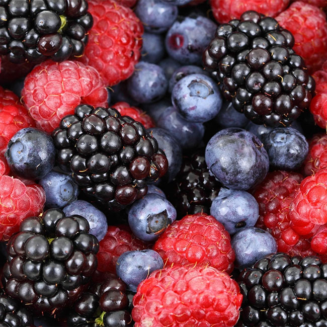 <h2>Why You Should Have A High-Protein Berry Smoothie Bowl For Breakfast</h2> best high protein smoothie bowl