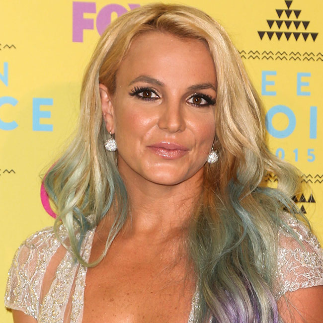 britney spears conservator comments dad jamie