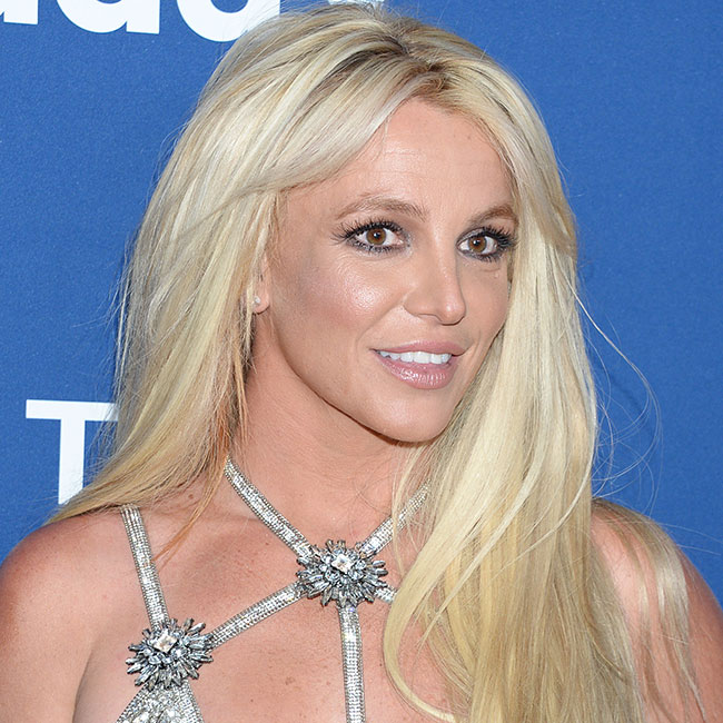 britney spears 911 call abuse conservatorship