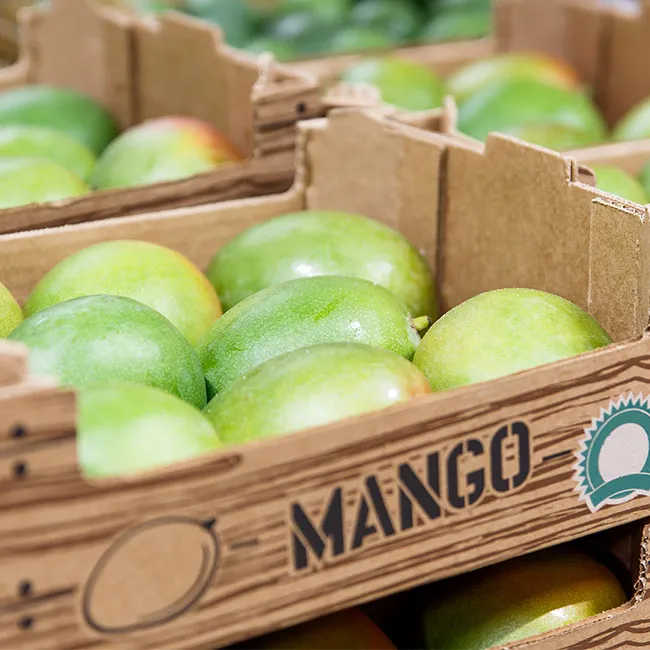 mango