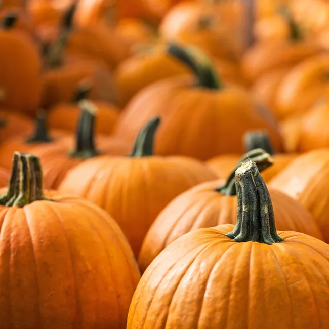 pumpkin worst high starch vegetable