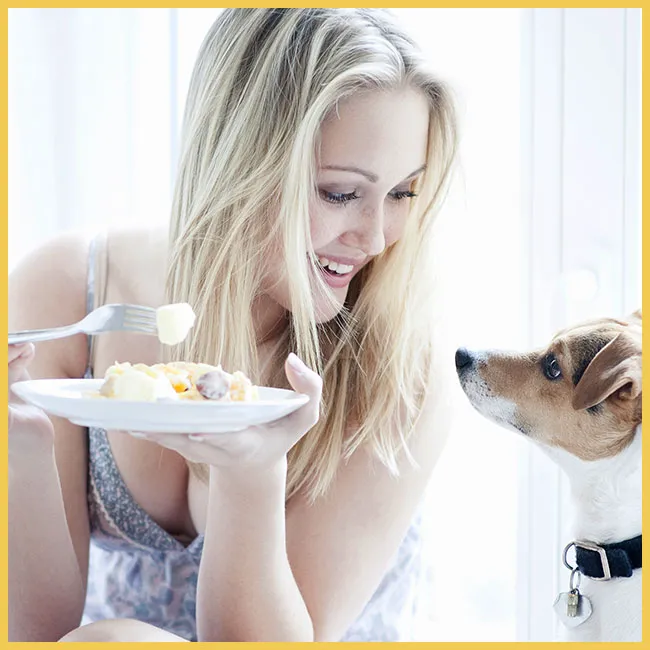 Image from SHEfinds