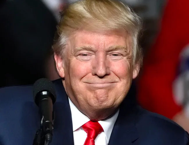 Donald Trump smirking confidently.