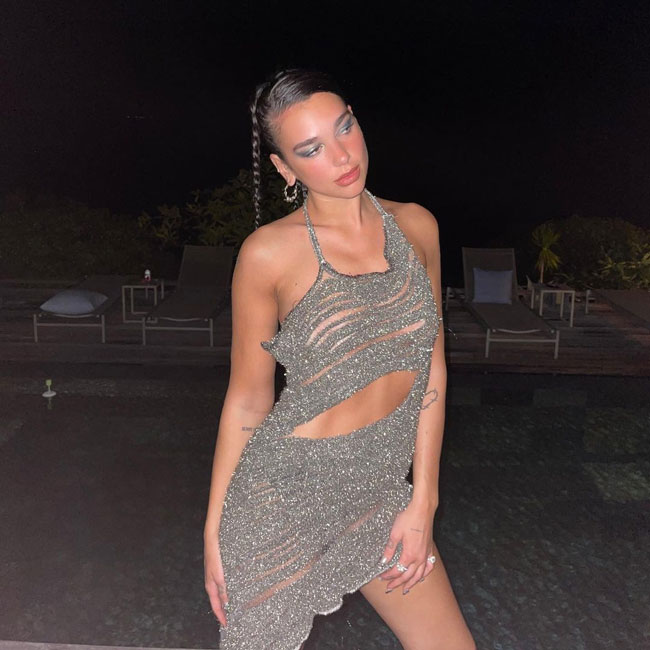 pubertet smugling Foranderlig Dua Lipa Just Wore A Glitter Mini Dress With Cutouts On Instagram—You Can  See Everything! - SHEfinds