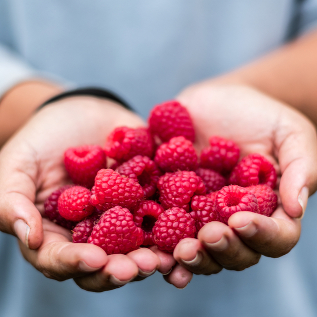 6 LowSugar Foods You Should Eat While Trying To Lose Weight, According To A Registered