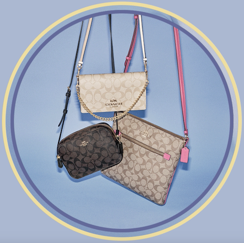 dubbel eetbaar bijzonder Drop Everything! You Can Get A Coach Bag For Under $100 During Their  24-Hour Sale - SHEfinds