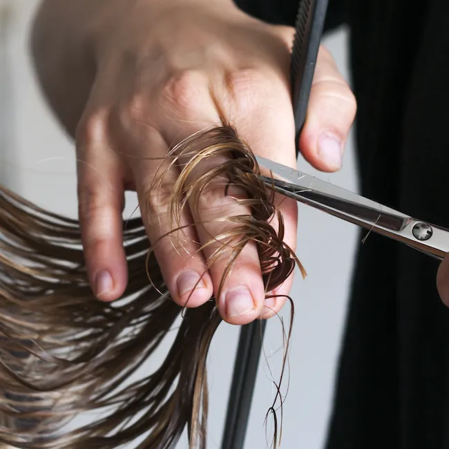 Trendy hairstyle inspiration featuring vibrant colors and creative styles.