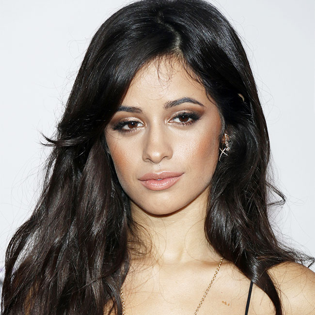 Camila Cabello Is Wearing The Most Insane Bodysuit With Sheer Cut