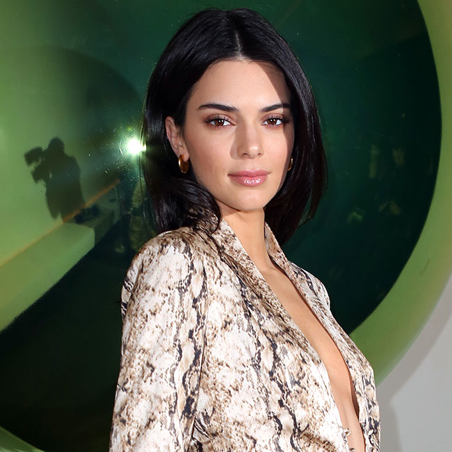 Kendall Jenner Stuns In A Completely Sheer Gown As Fans Call Her 'The  Hottest Of All Her Sisters' - SHEfinds