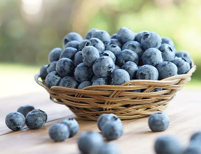 Fresh blueberries in a rustic basket