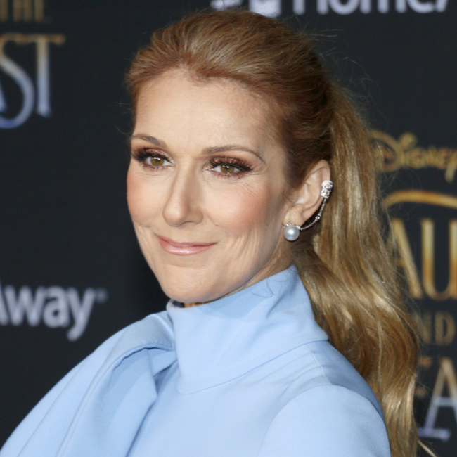 Celine Dion Postpones Her Tour Dates After Receiving A Diagnosis Of An ...