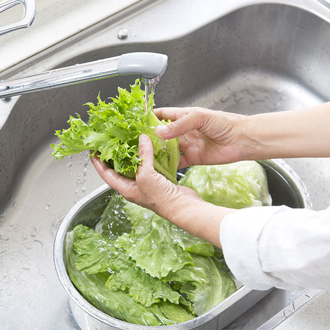 Everything You Need To Know About Lettuce Water And Sleep