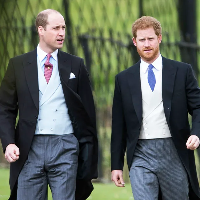 Prince William and Prince Harry at a public event together.