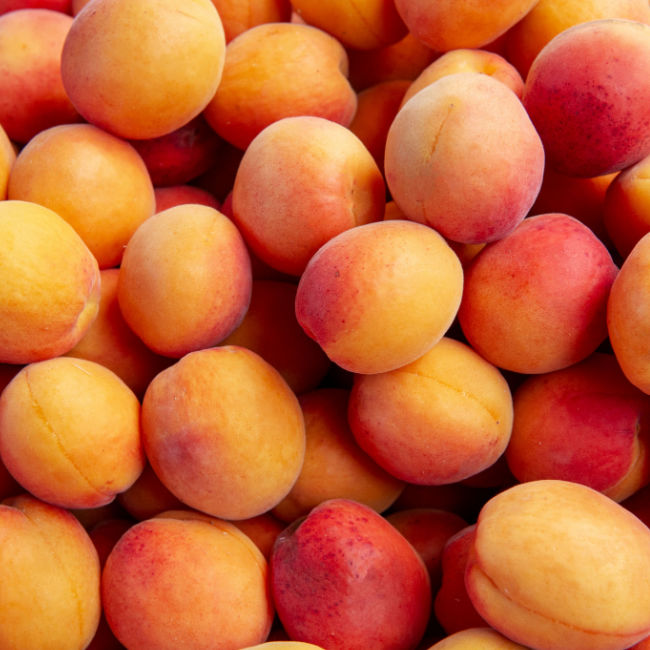 close-up of a bunch of apricots