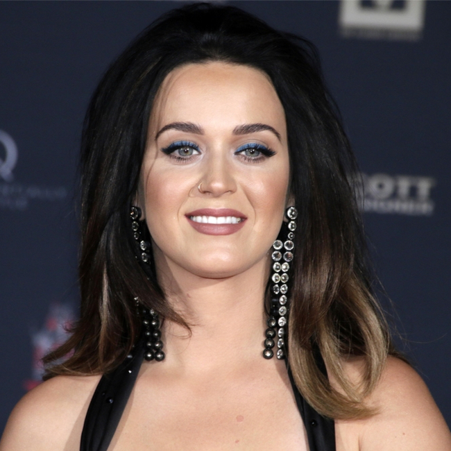 Katy Perry Wows in Glitter Chain-Link Dress & Mules With Orlando Bloom –  Footwear News