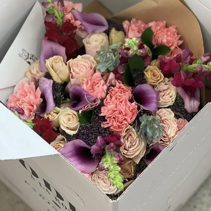 Image from SHEfinds