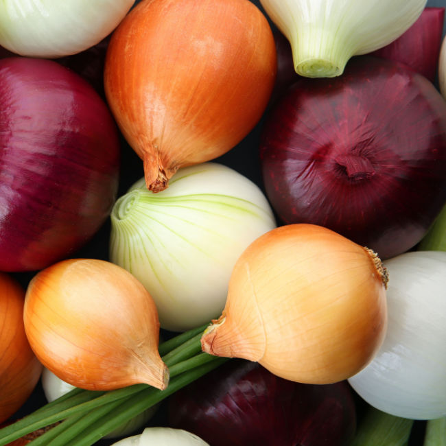 multi-colored onions