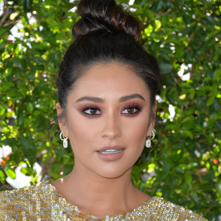 shay mitchell brown hair updo top knot bun green leaves sparkly dress diamond earrings