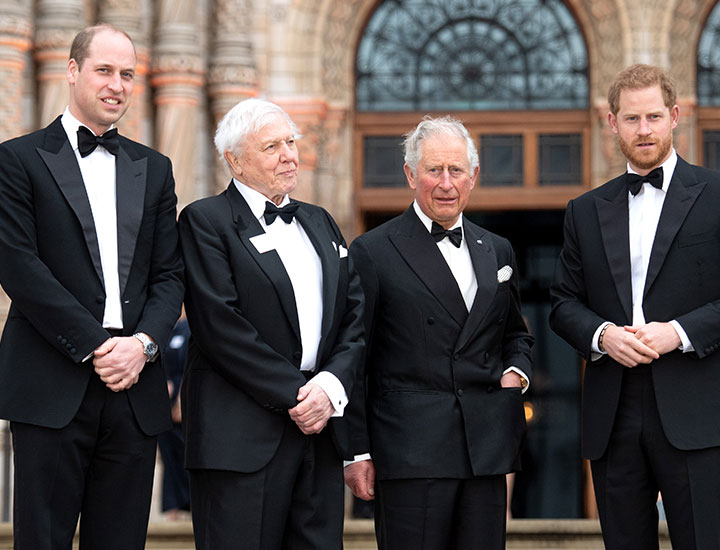 Prince William Prince Harry King Charles with David Attenborough