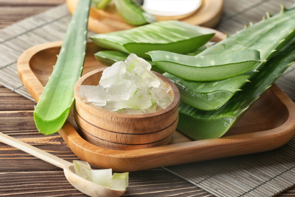 Aloe vera on the table.