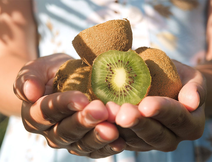 Person holding kiwis in hand.