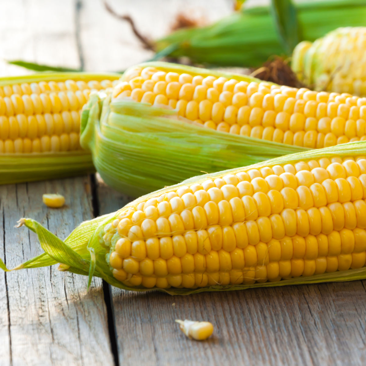 Corn.