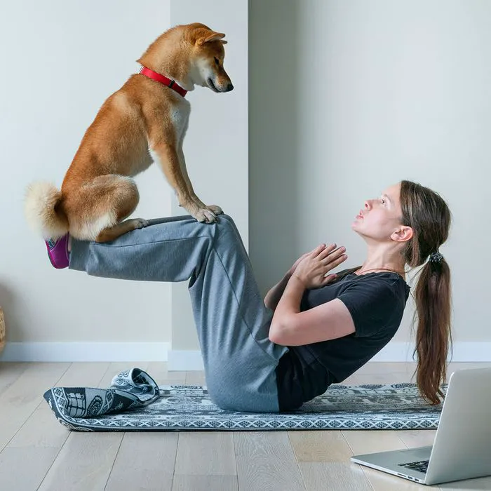 "Woman practicing yoga with a Shiba Inu dog"