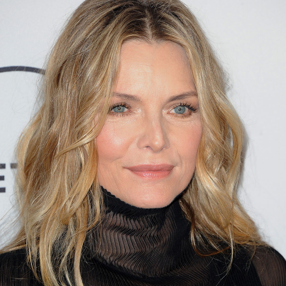 Michelle Pfeiffer The Family Hair