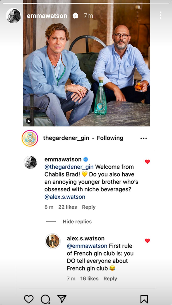 Emma Watson Instagram Story Brad Pitt Gin