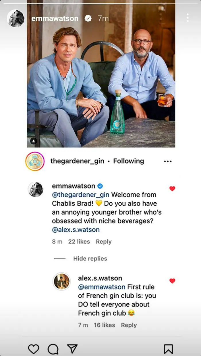 Emma Watson Instagram Story Brad Pitt Gin