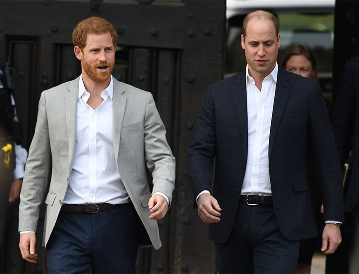 Prince Harry and Prince William Windsor walkabout