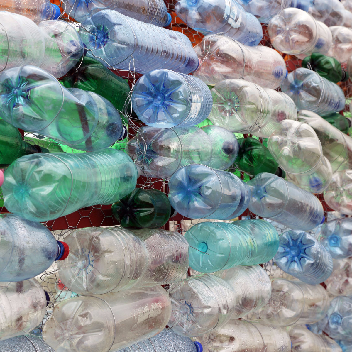 multicolored plastic bottles lined up recycling waste pollution