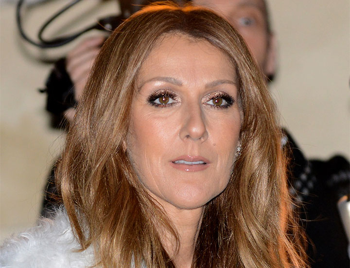 Celine Dion last tour in France