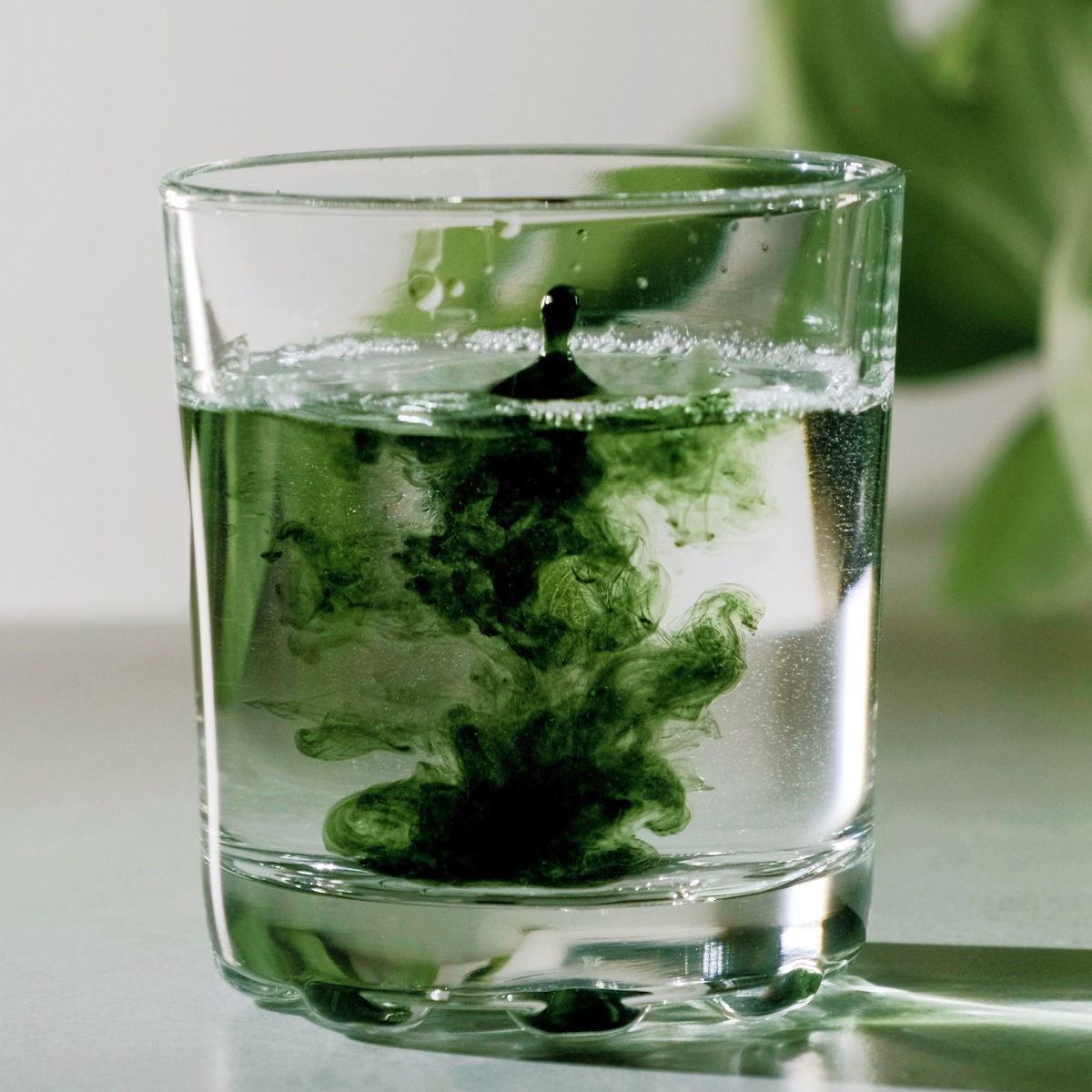 chorophyll water in glass