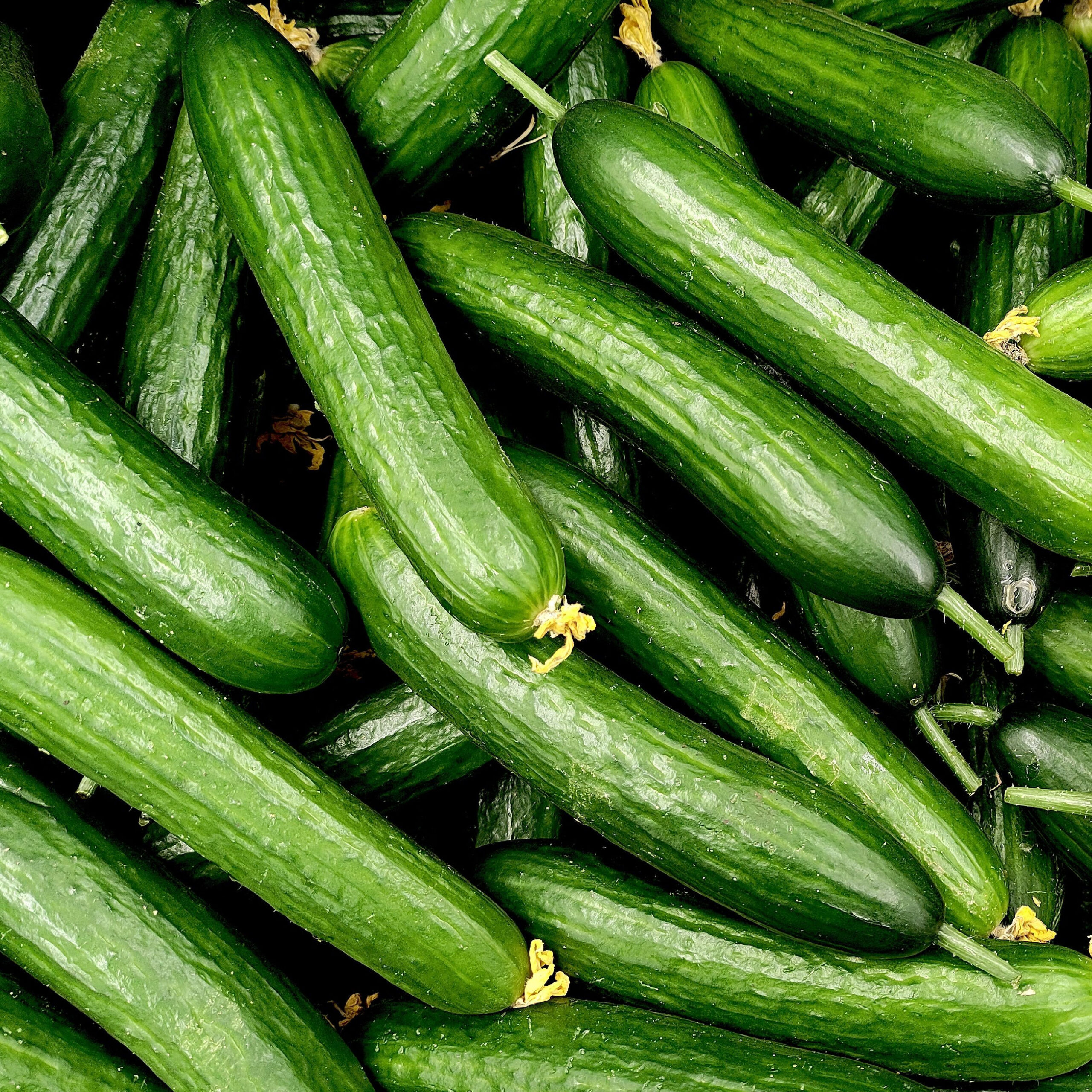 Dietitians Share 3 ‘Satiating’ Foods You Should Fill Up On For Healthy